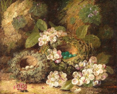 Primeln und Vogelnester auf einem moosigen Ufer, 1882 von Oliver Clare